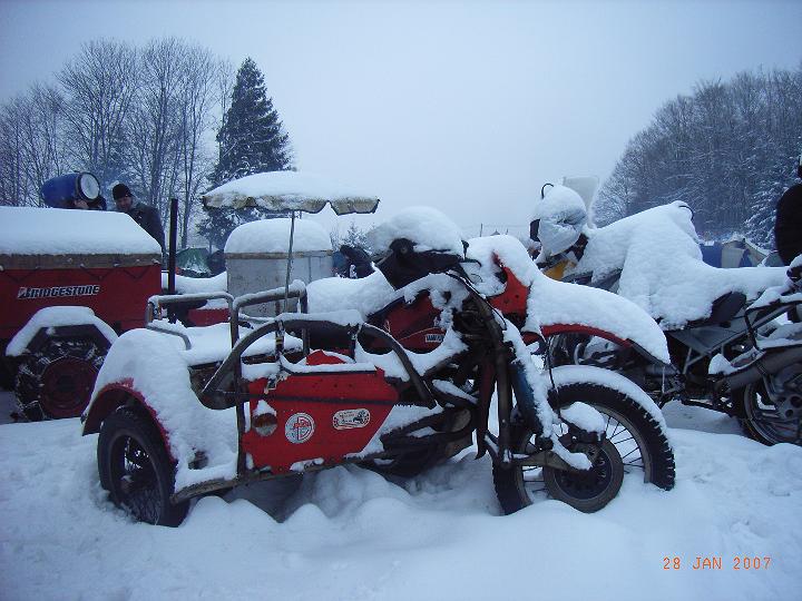 140_IMAG0065 Schüchternes Schnee-Schirmchen